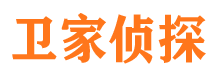 城子河市侦探调查公司